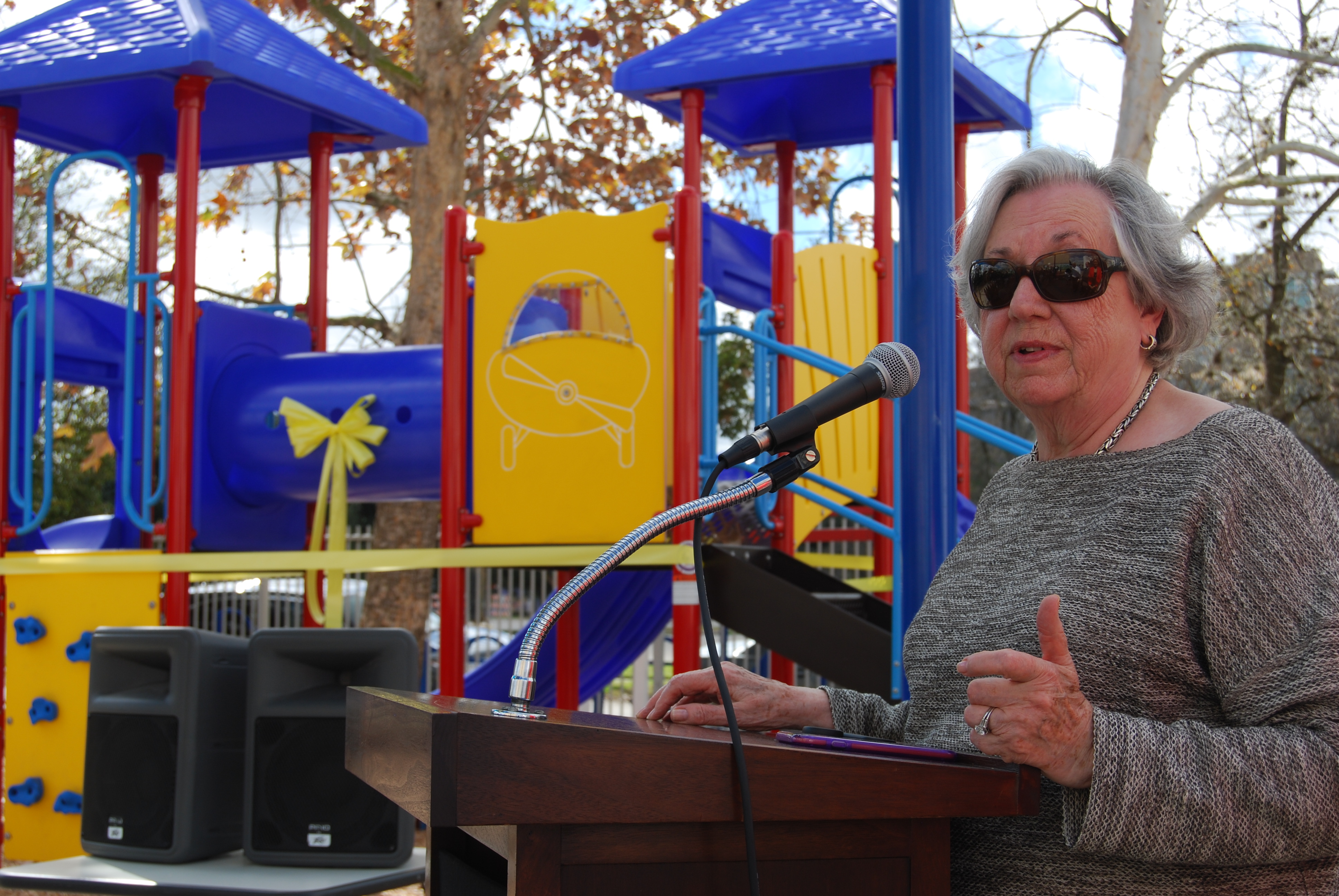 Speaker at Playground Unveiling